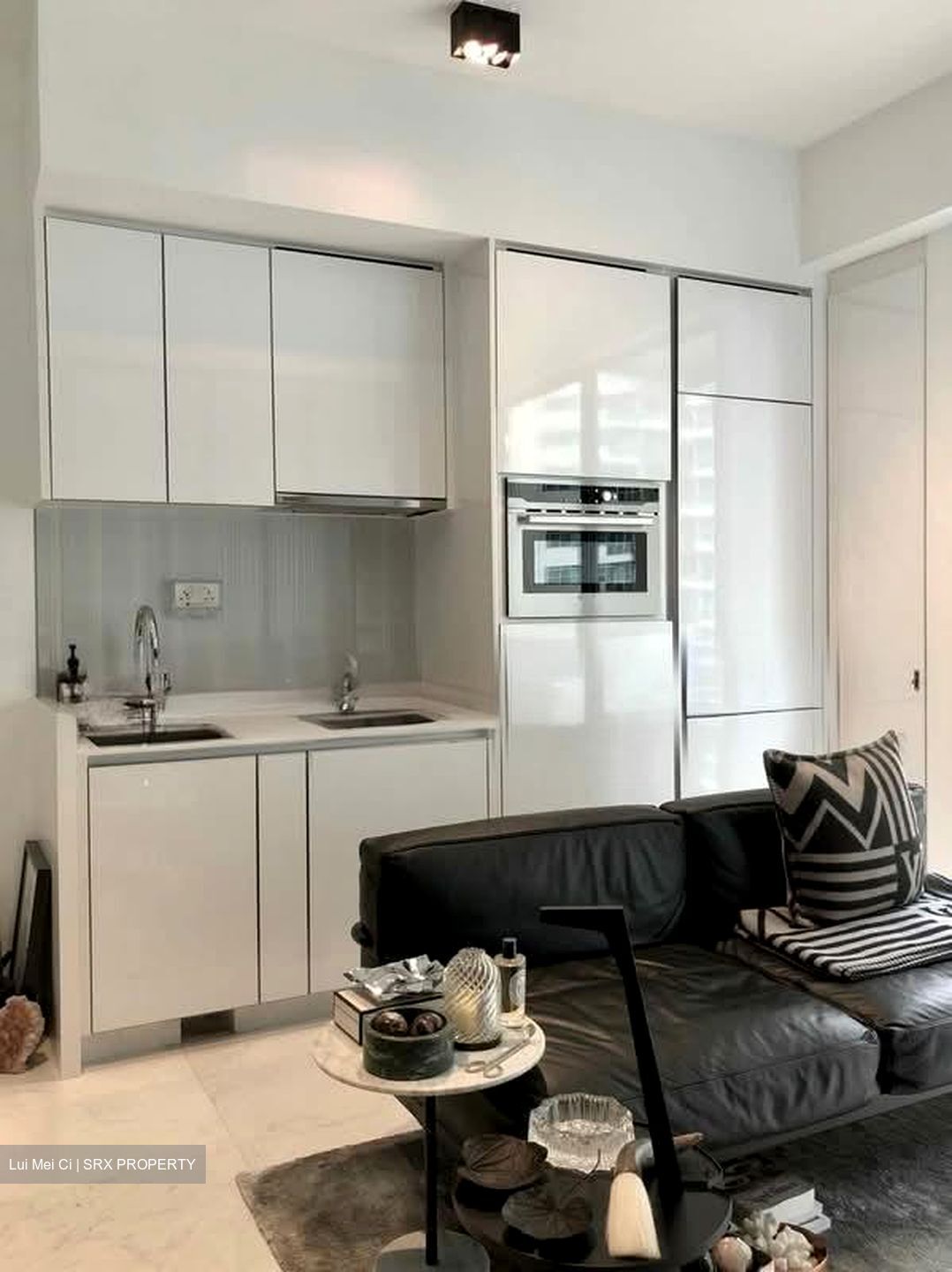 Suites @ Newton (D11), Apartment #541678791
